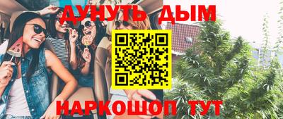 apvp Гагарин