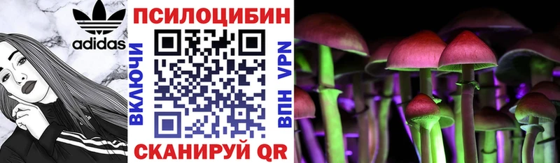 ОМГ ОМГ ТОР  дарк нет какой сайт  Галлюциногенные грибы Cubensis  Магадан 